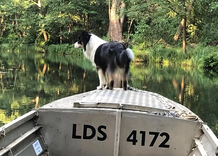 Lutki Dom Vakantiehuis